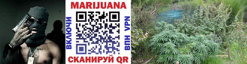 Купить  Сясьстрой  Бошки Шишки VHQ 